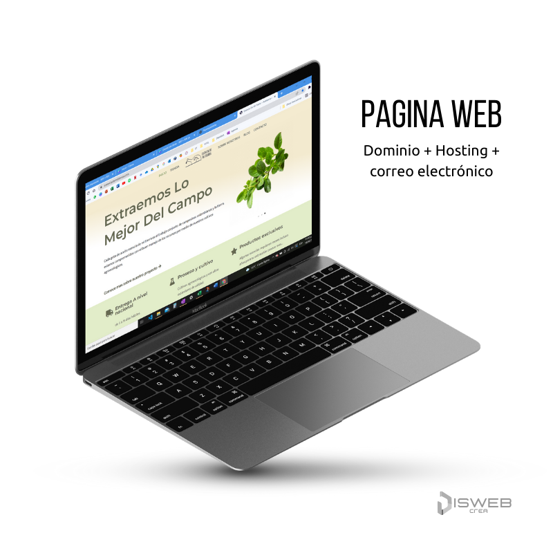 Página Web Emprendimiento