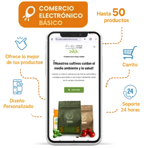 Comercio Electrónico Básico